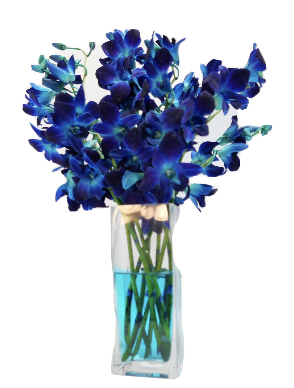 Fresh Cut Orchid Large Bunch Bouquet In Beautiful Blue Color