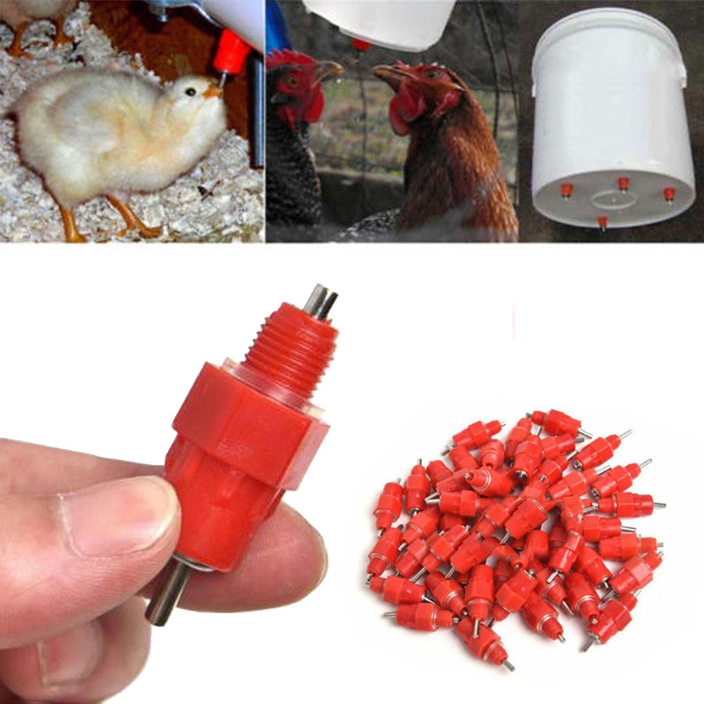 10-100PCS Water Nipple Drinker Chicken Feeder Poultry Duck Hen Screw In Style