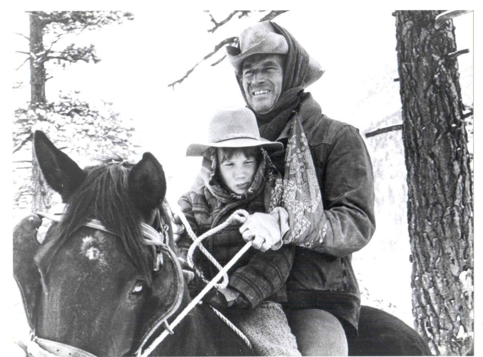 Original Press Photo of Charlton Heston ( ARU )