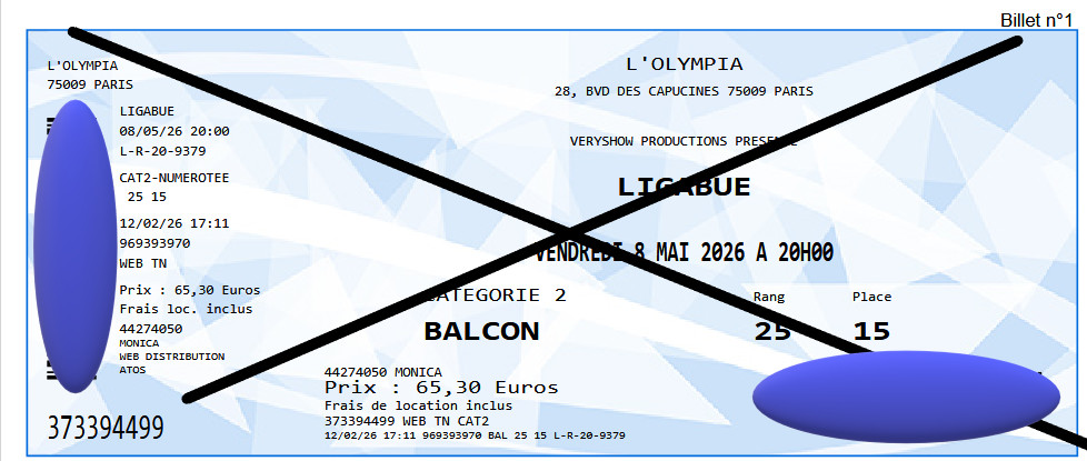 2 Ligabue Concert Tickets in Paris