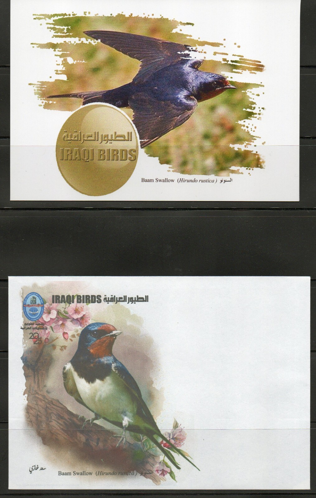 Postcard issued by the Iraqi Philatelic Society featuring the birds of Iraq 2025