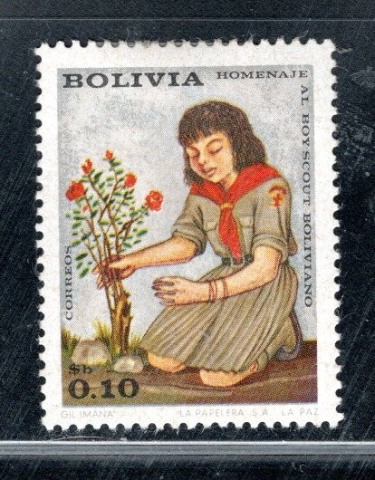 BOLIVIA LATIN AMERICA STAMPS  MINT HINGED LOT 62439