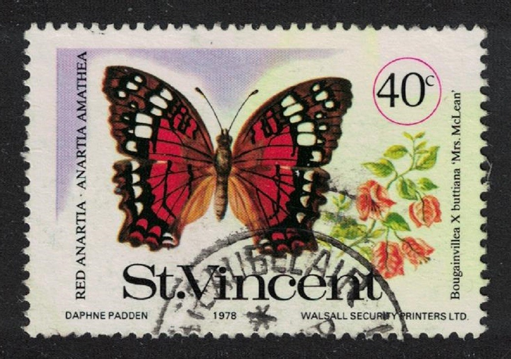 St. Vincent 'Anartia amathea' Butterfly Mrs McLean Flower 1978 Canc SG#553