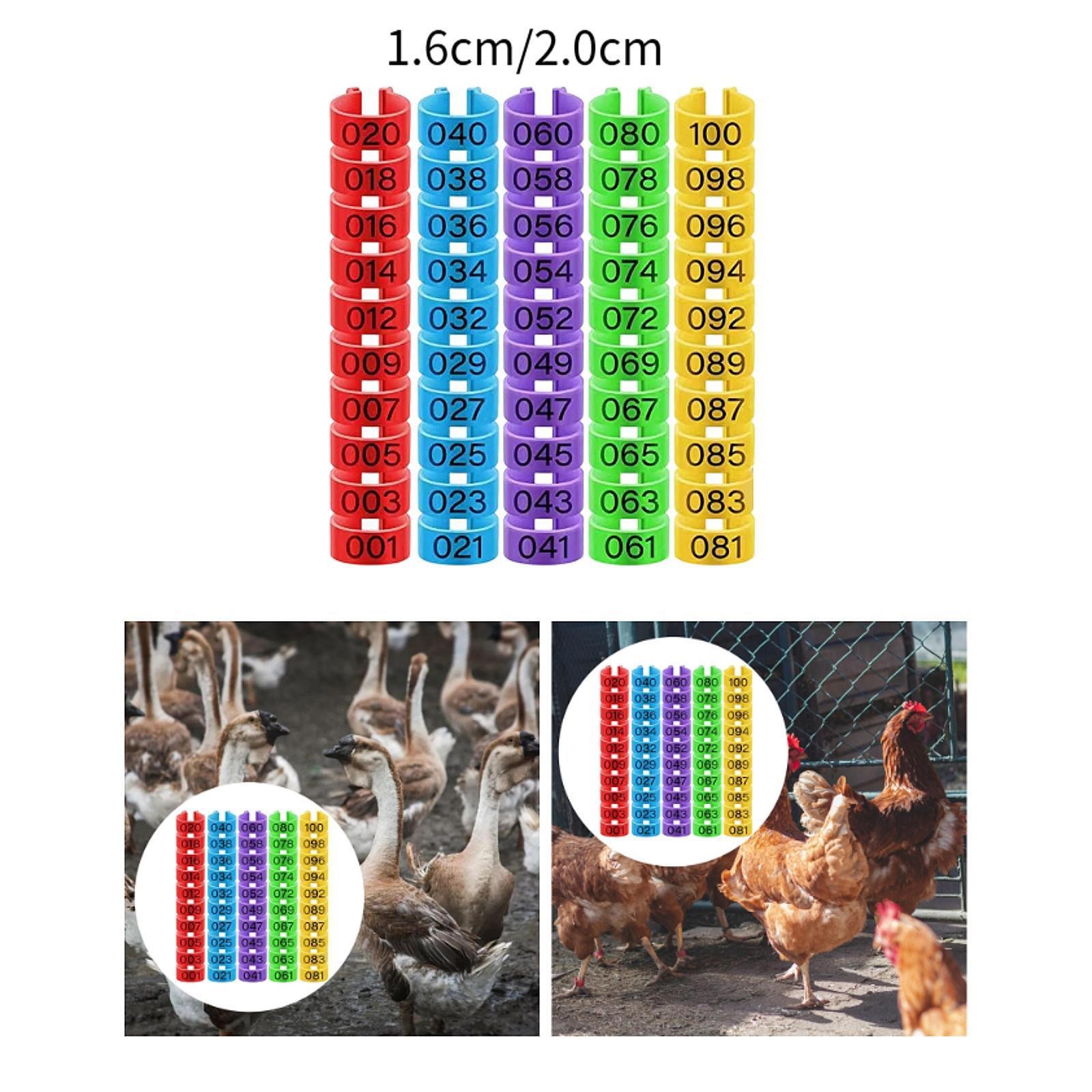 100x Poultry Foot Rings Poultry Leg Bands Chicken Leg Rings