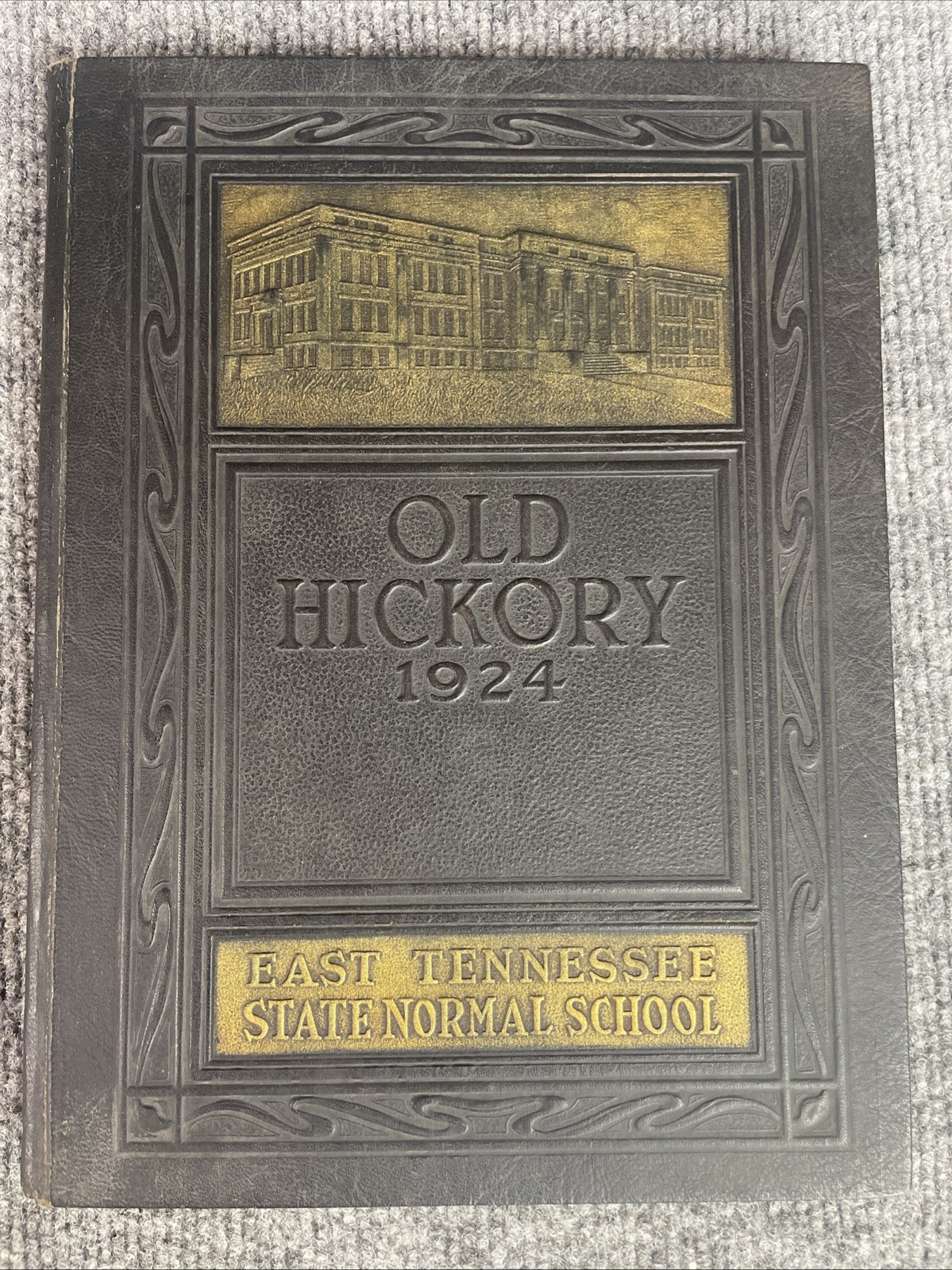 1924 East Tennessee State Normal School Yearbook Johnson City Old Hickory