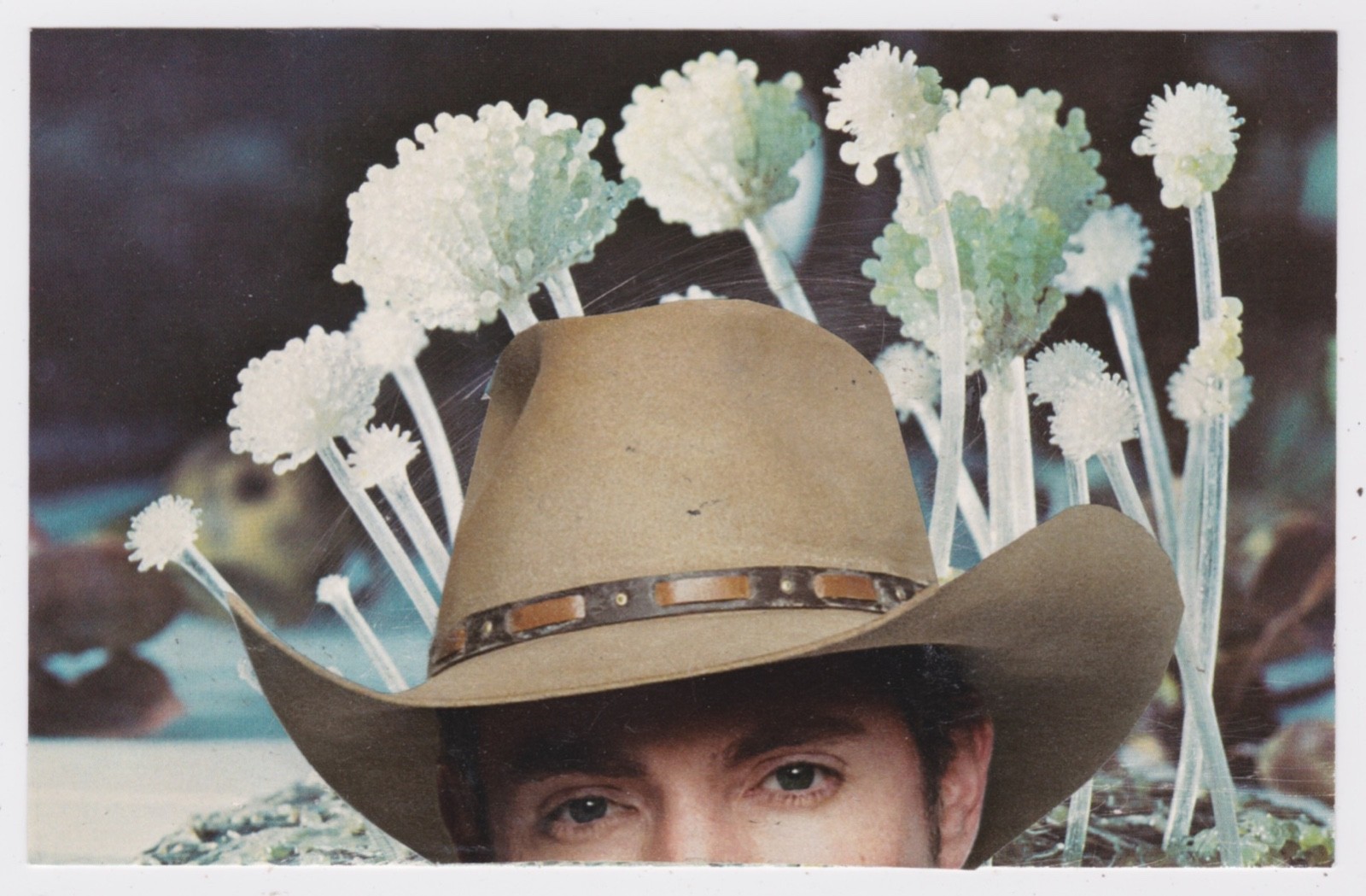 Mail Art David Greenberger "Incongruous" original collaged postcard 2023