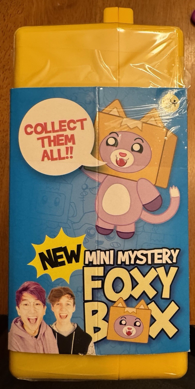 LankyBox New Mini Mystery Foxy Box New In Package/Unopened