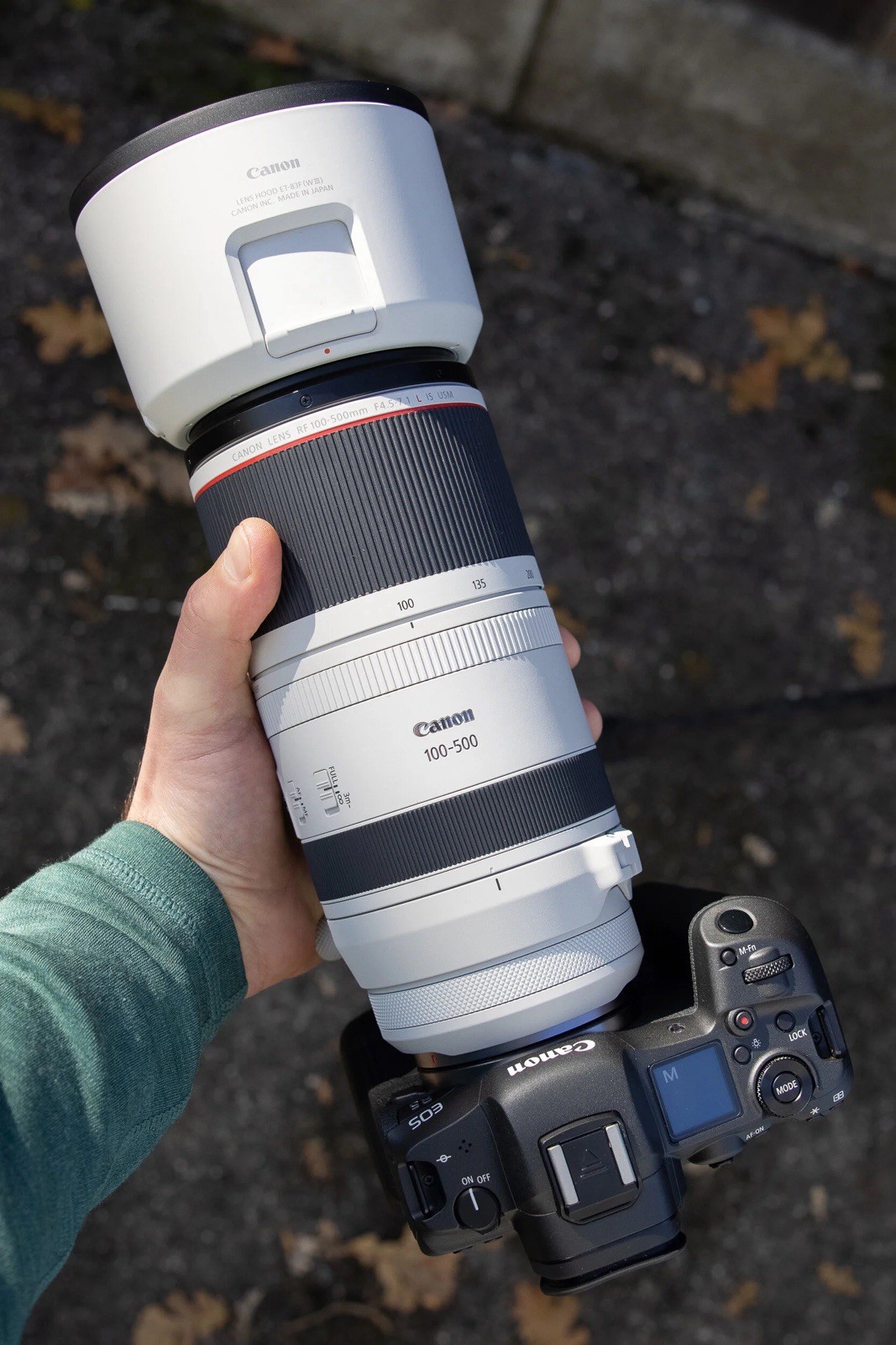 Canon RF 100-500mm f/4.5-7.1 L IS USM Super Telephoto Zoom Lens