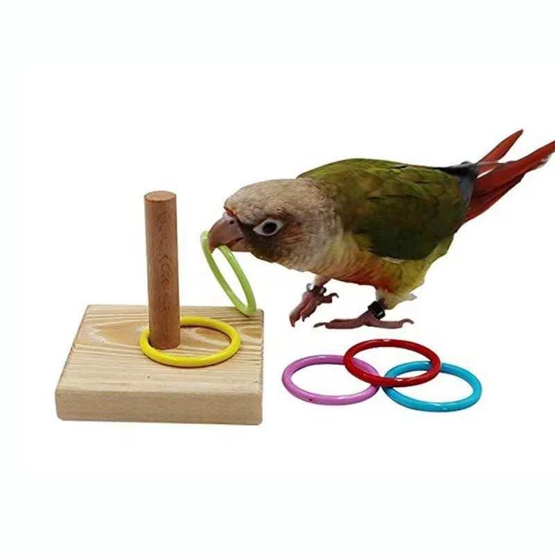 Bird Training Ring Toy Parrot Educational Toys Training Interactive Bird Supplie