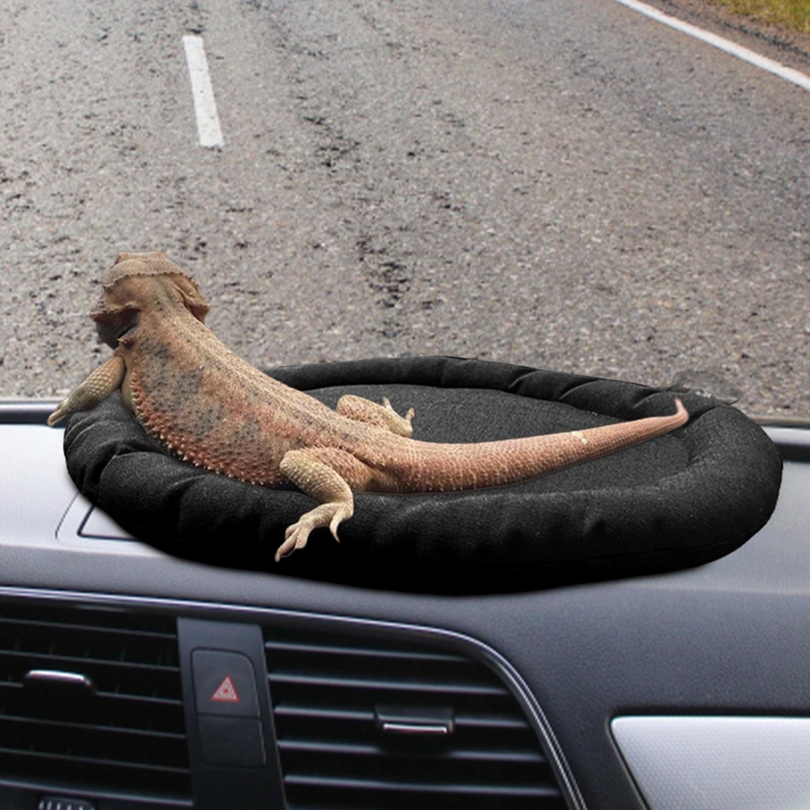 Car Lizard Bed Portable Soft Bearded Dragon Pad Bearded Dragon Supplies standard