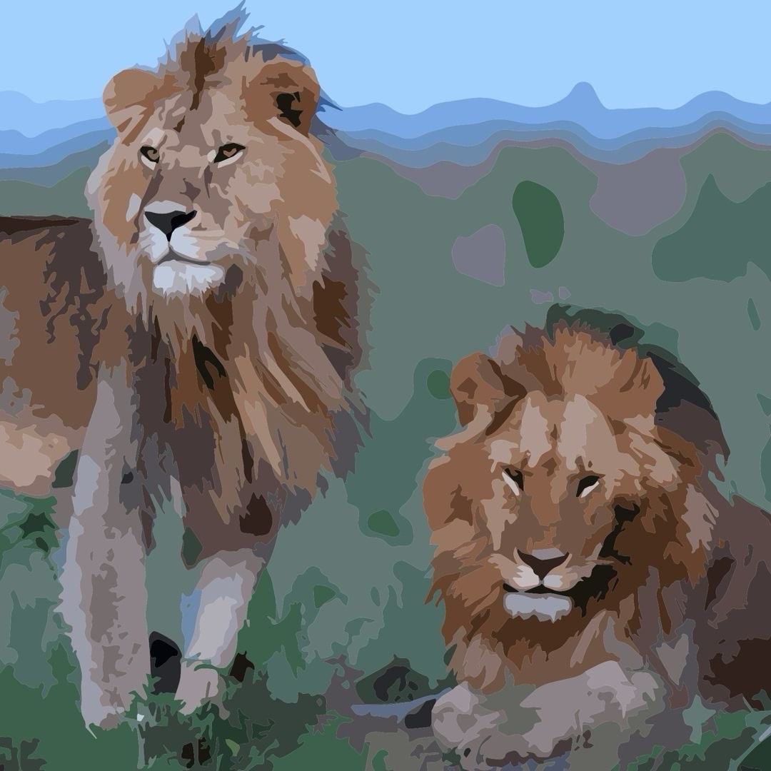 Two Lions Oil Painting Poster 8x8  