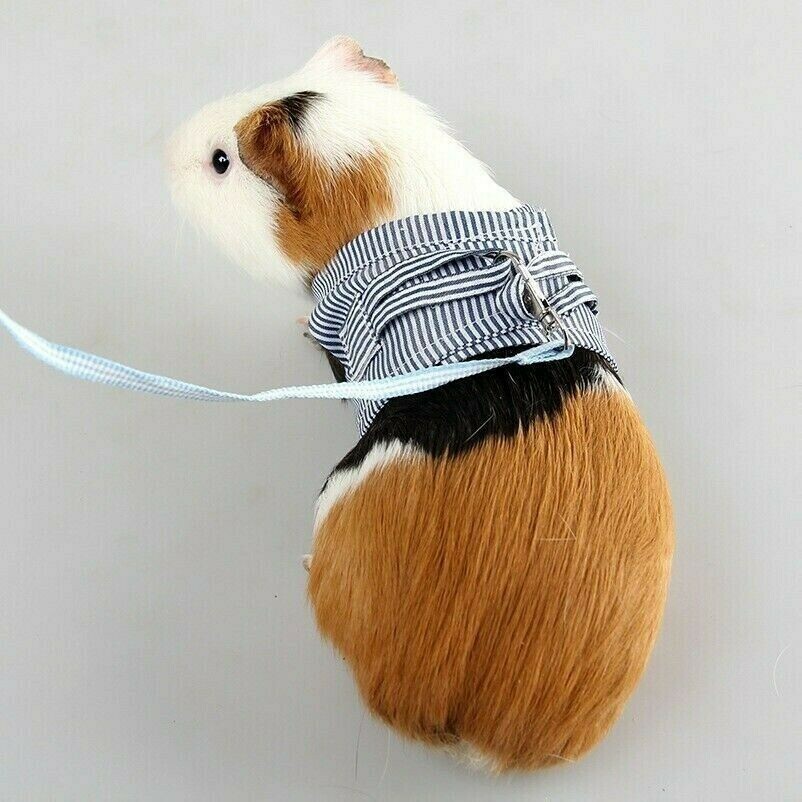 Hamster Lead Leash Chinchilla Dutch Pig Out Pulling Rope Strap Cotton Clothes