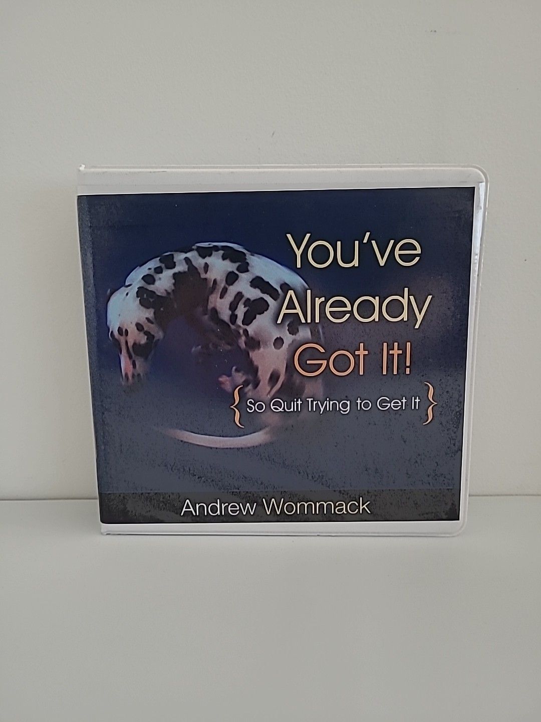 "You've Already Got It" A 6 CD Reaching by Andrew Wommack