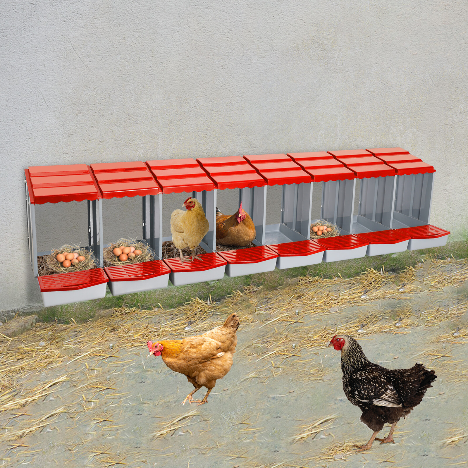 8-Compartment Chicken Nesting Box with Egg Collection  Chicken Laying Boxes Farm