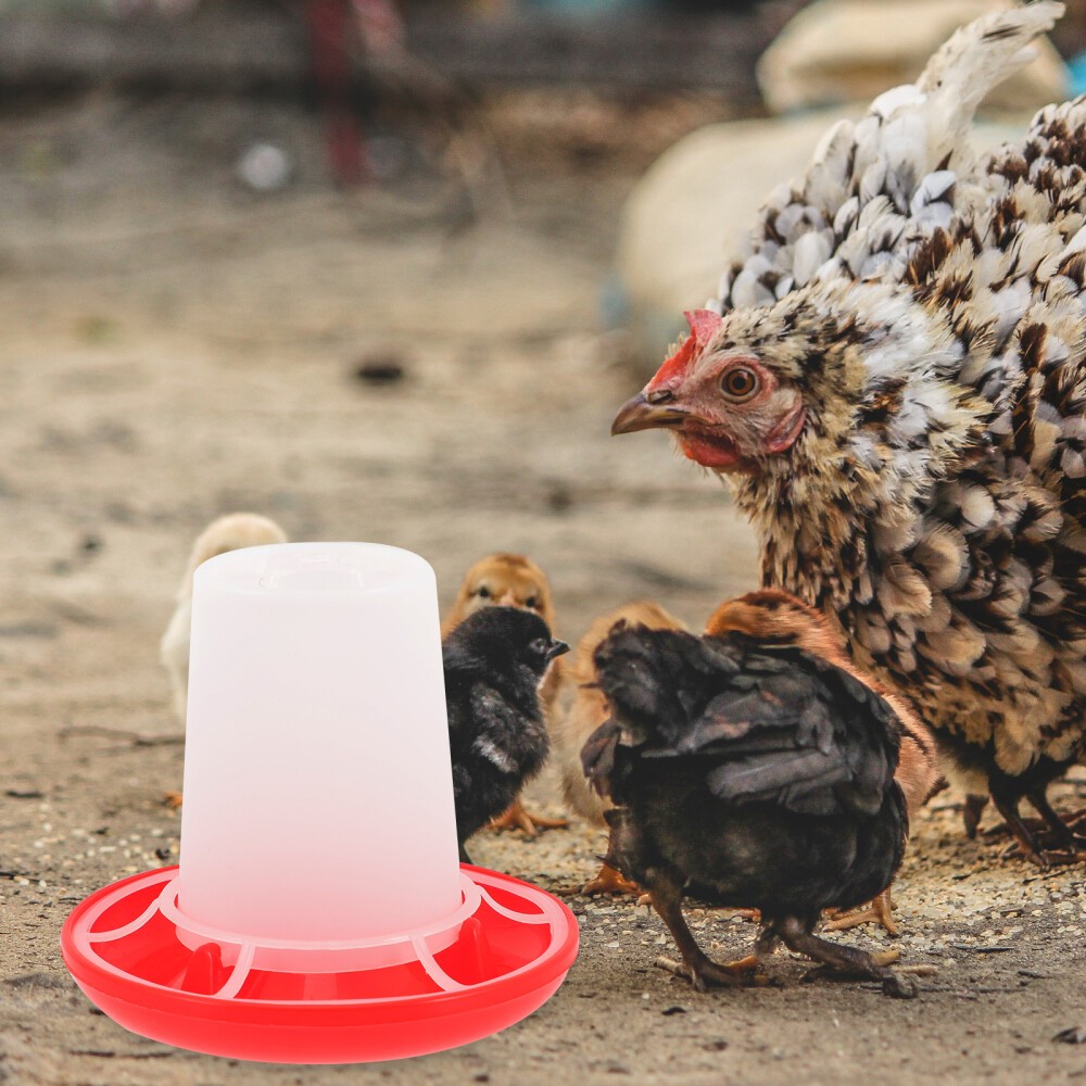 4Pcs/Set Automatic Chicken Feeder and Waterer Kit for Poultry Plastic Red White