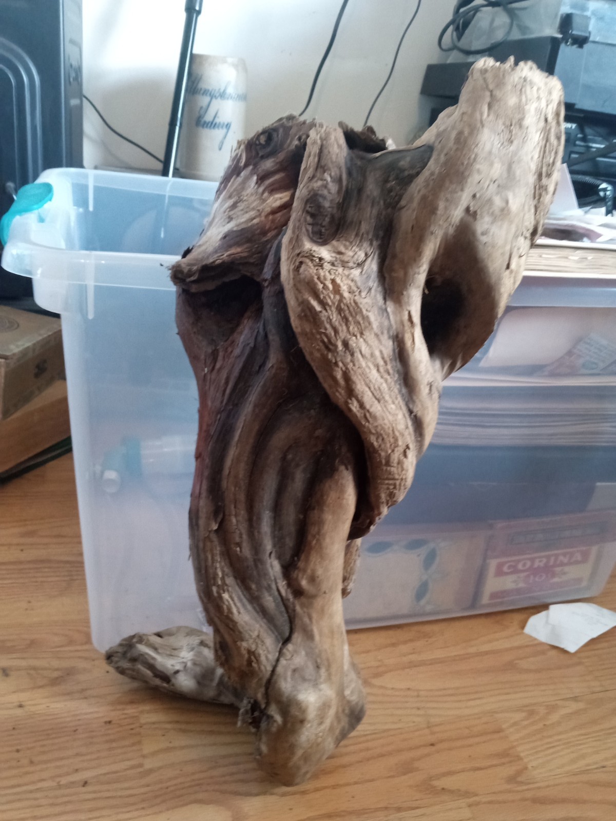 Driftwood From Pacific Ocean