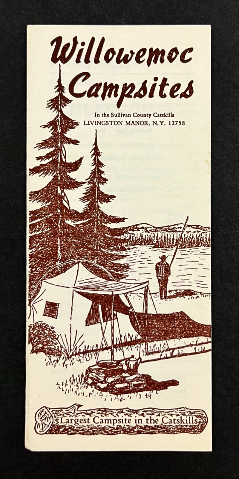 1960s Livingston Manor New York NY Willowemoc Campsites Vintage Travel Brochure