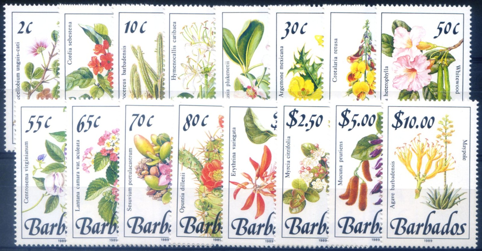 Barbados. Definitive. Flora. Flowers 1989.
