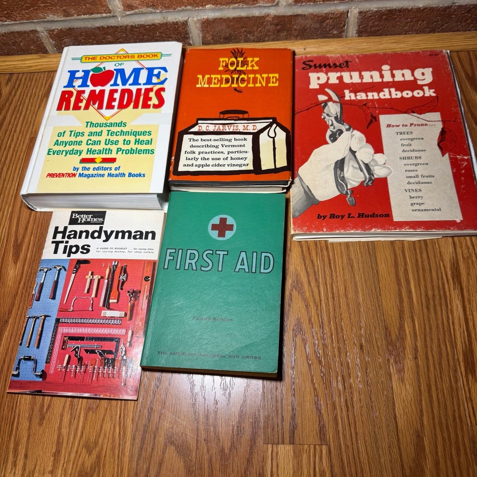 Vintage DIY & Home Medicine Book Lot American Red Cross Sunset Pruning 5pc Retro