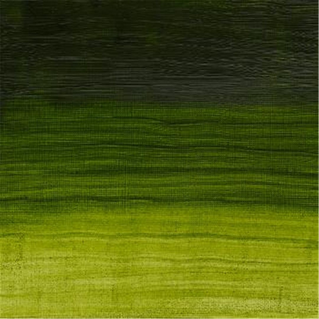 Artisan Water-Dilutable Oil Color Ml. 37 Series 2 - 503 Permanent Bladder Green