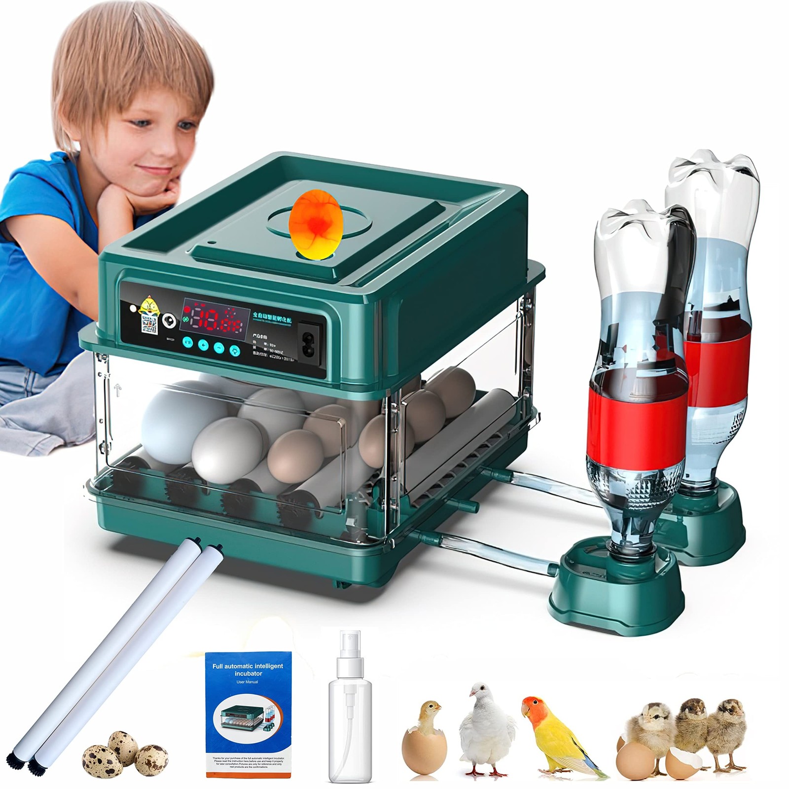 Egg Automatic Incubator 24-60 Eggs Automatic Intelligent Incubators for Hatch...