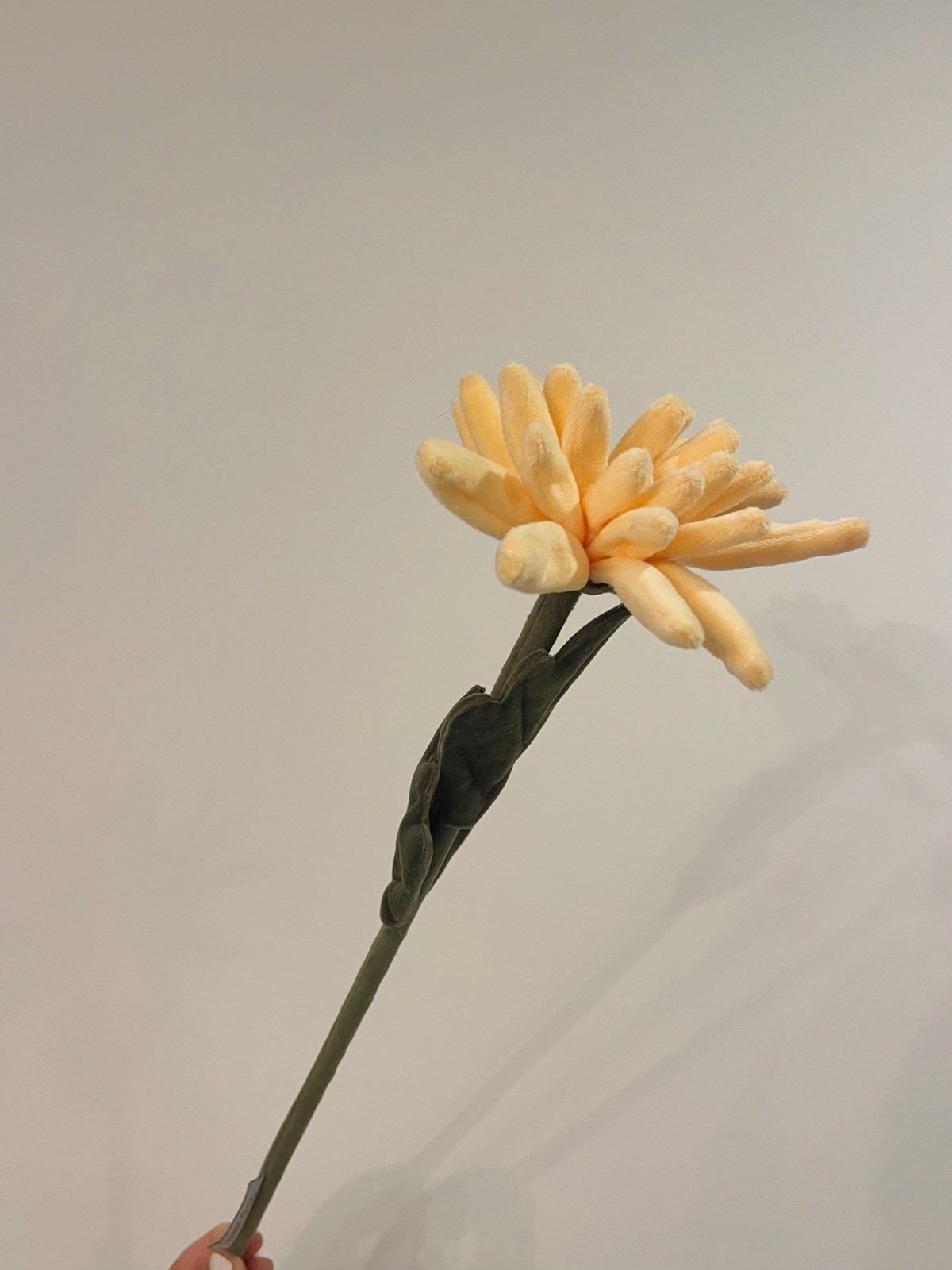 CJ Hendry Flower Shop bloom