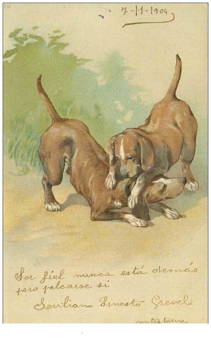 Dogs No. 23158 Dogs Playing Together