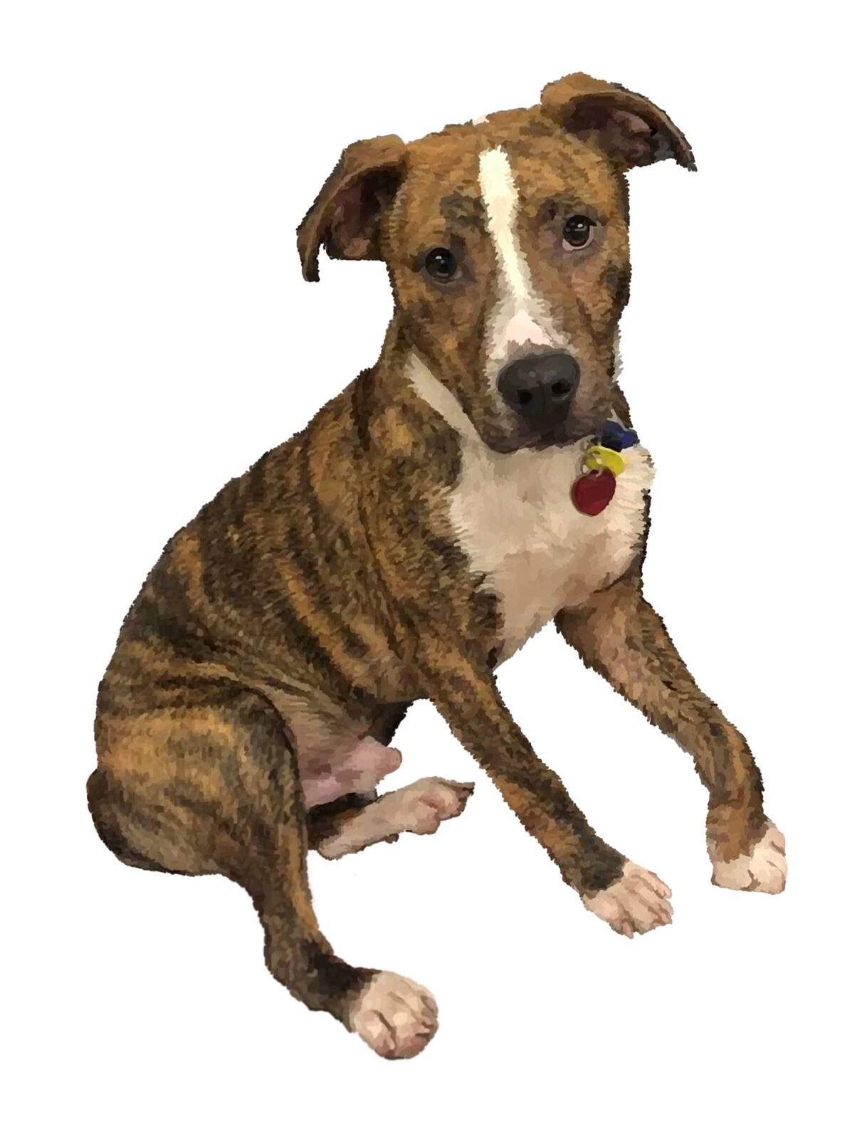 Custom Pet Portrait Digital Drawing Puppy Dog Cat Kitty Horse Keepsake Photo