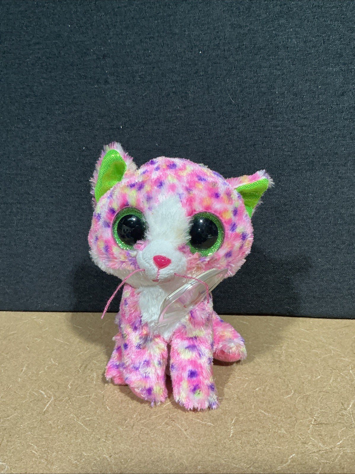 TY Beanie Boo. SOPHIE!