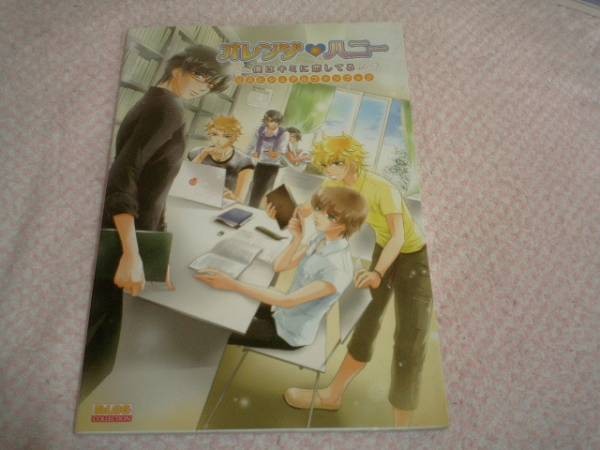 Orange HONEy Visual Fan Book H1