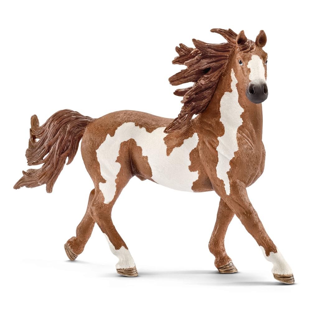 Pinto Stallion - Schleich