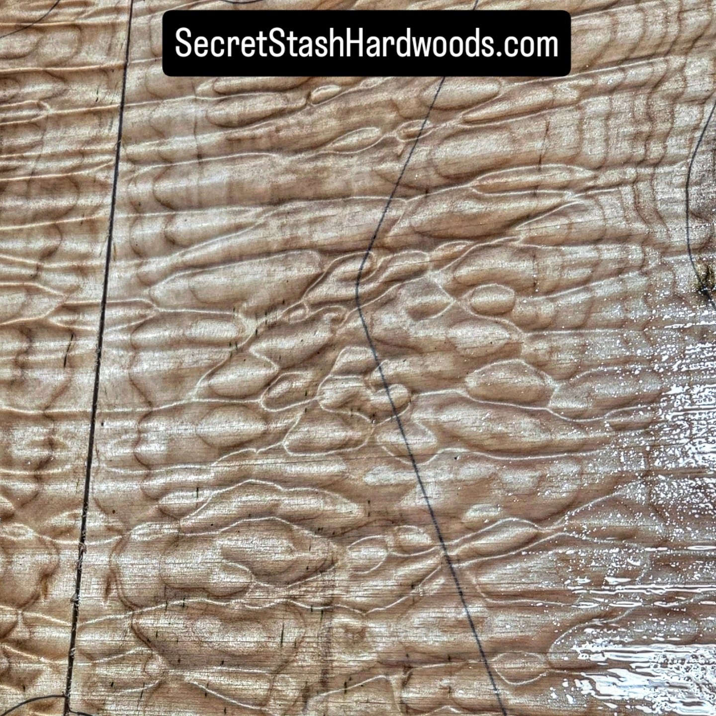 Xl Quilted Maple Flat Top Exotic guitar wood bass figured wood 4 luthier Strat