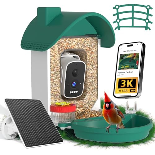 Bird Feeder with Camera, 2-in-1 Bird Bath and Perch, 3K Live View, Dark Green