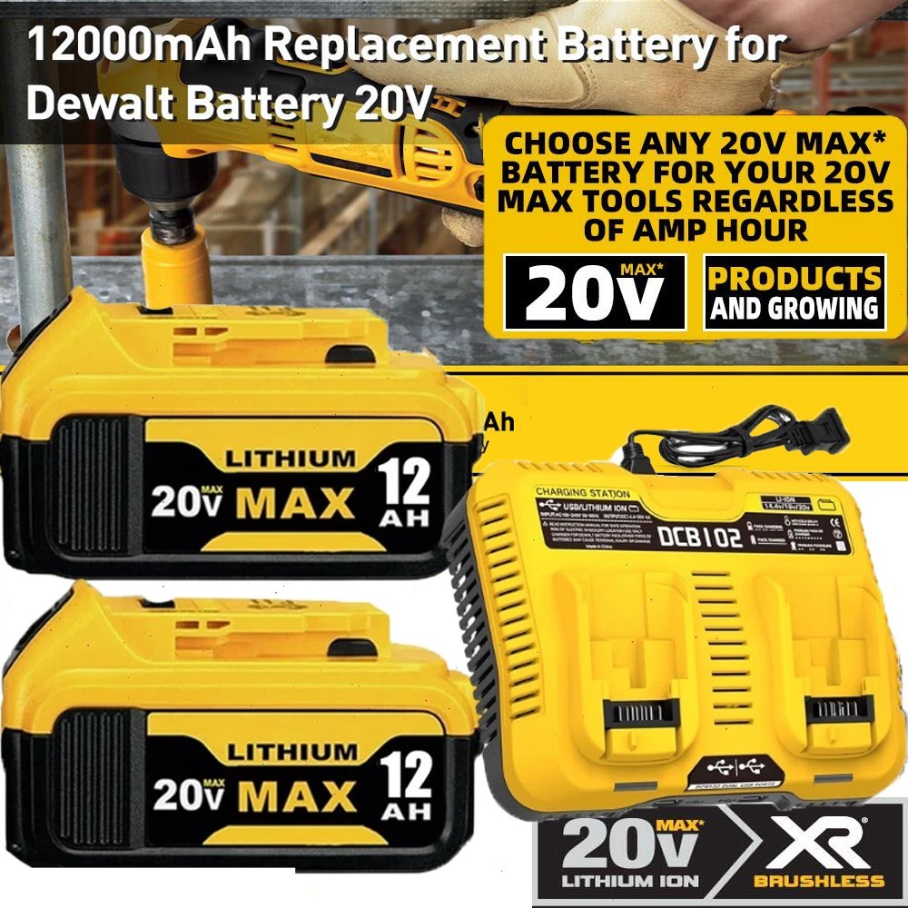 2Pack For DeWalt 20V 20 Volt Max 12.0AH Lithium Battery DCB206-2 / Dual Charger
