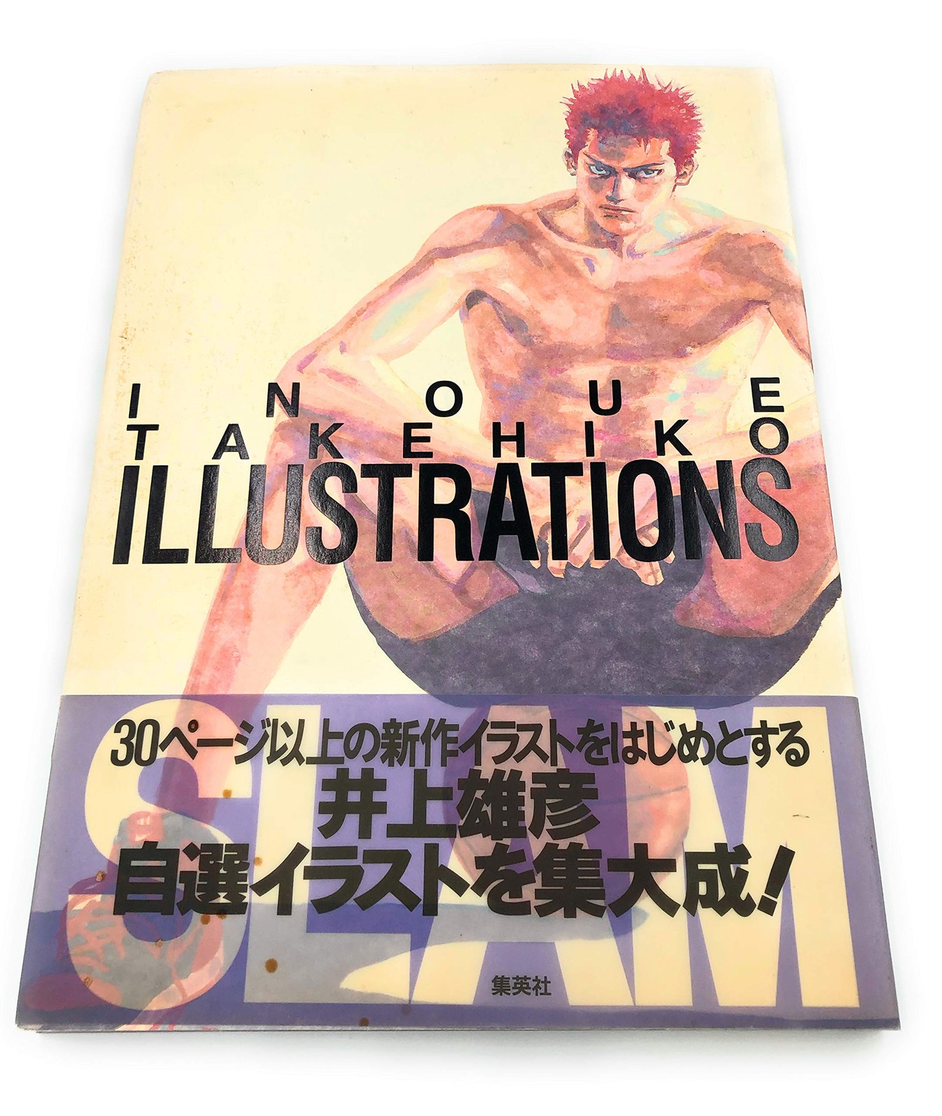 INOUE TAKEHIKO ILLUSTRATIONSTakehiko Inoue [Book]