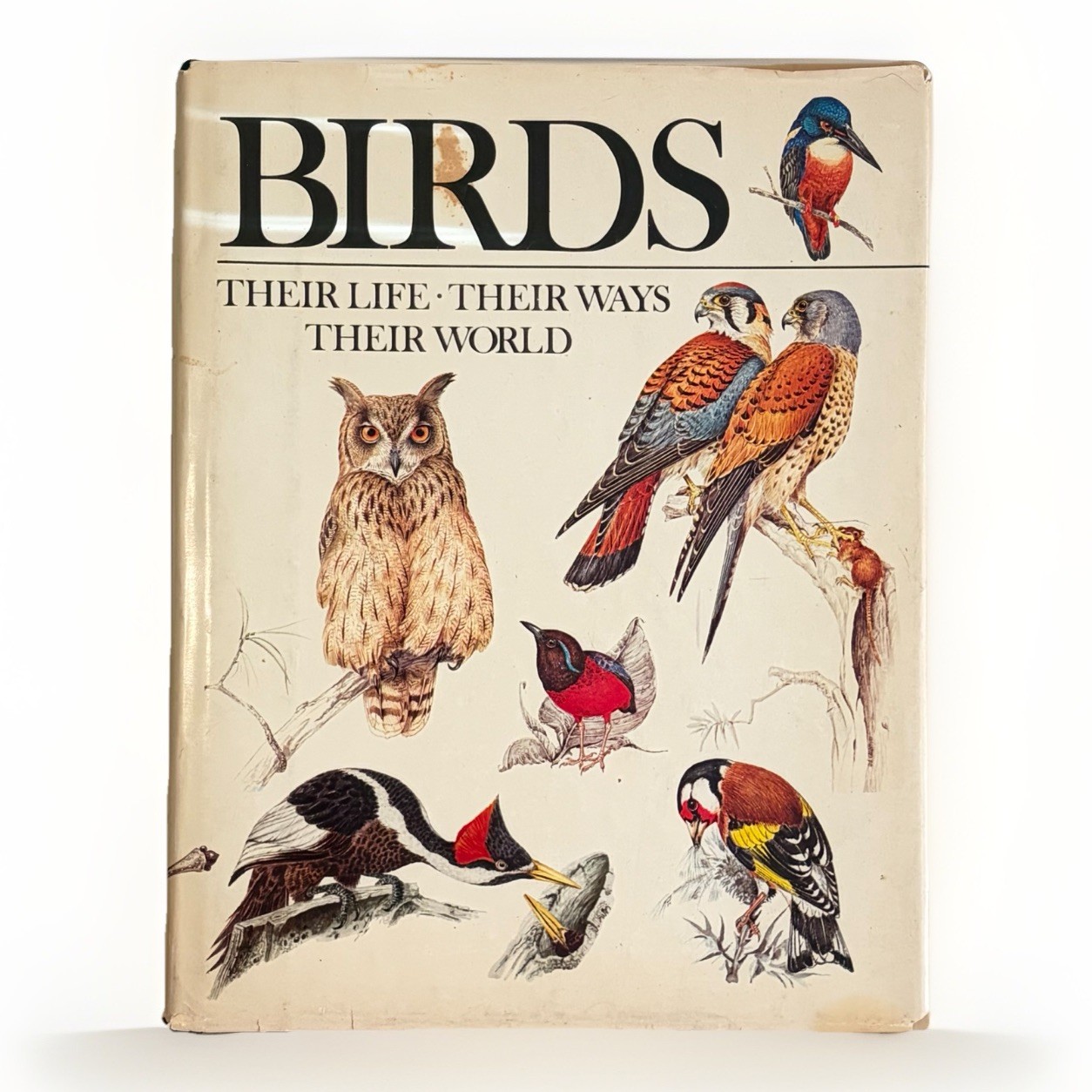 Vintage 1979 Birds Their Life Their Ways Their World Hardcover Book 1st Edition