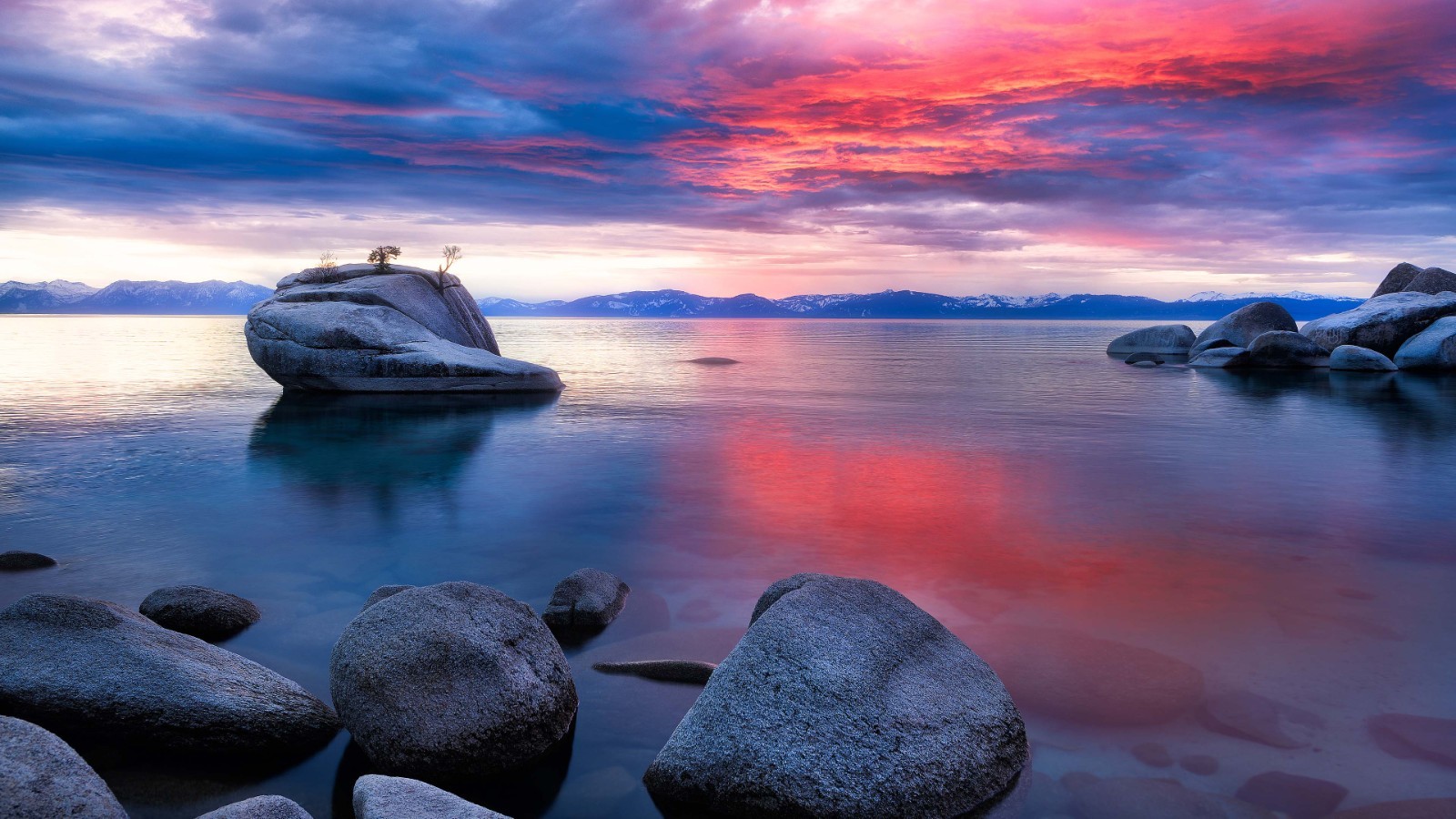 EWE ARE SPECIAL CANDLE HOUSE