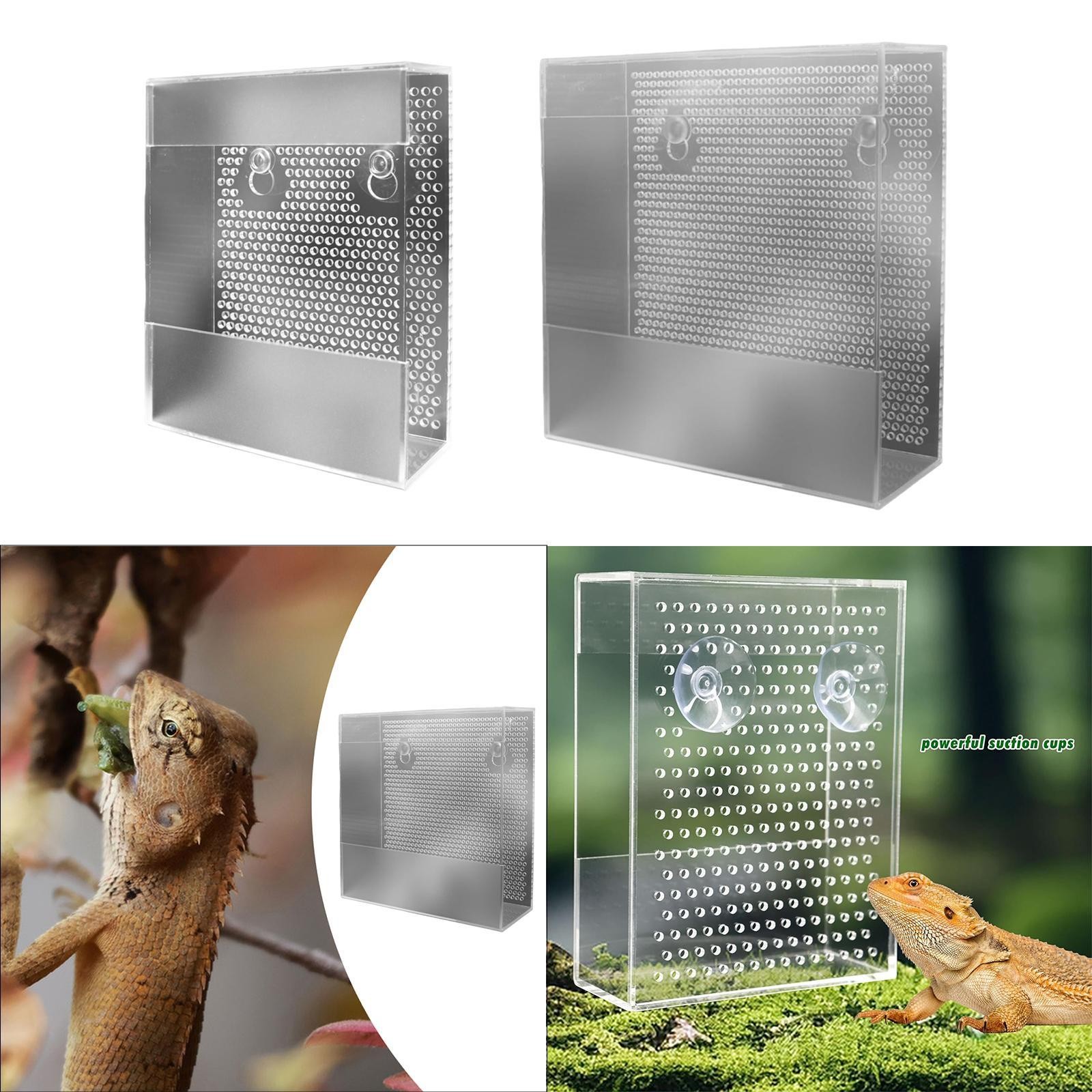 Acrylic Reptile Feeder Transparent Durability Easy to Install Practical Supplies