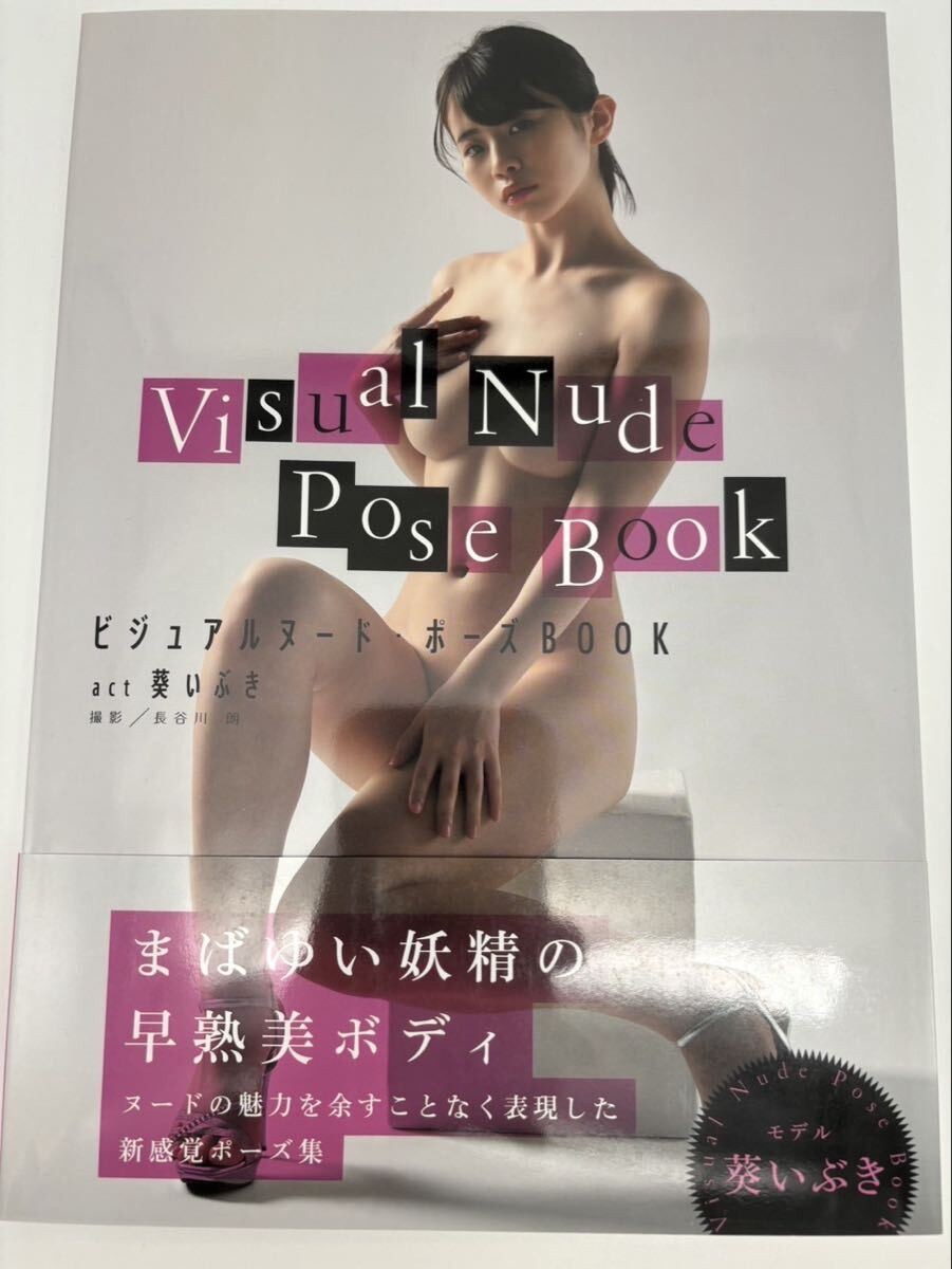 ART BOOK Nude Pose Book Aoi Ibuki