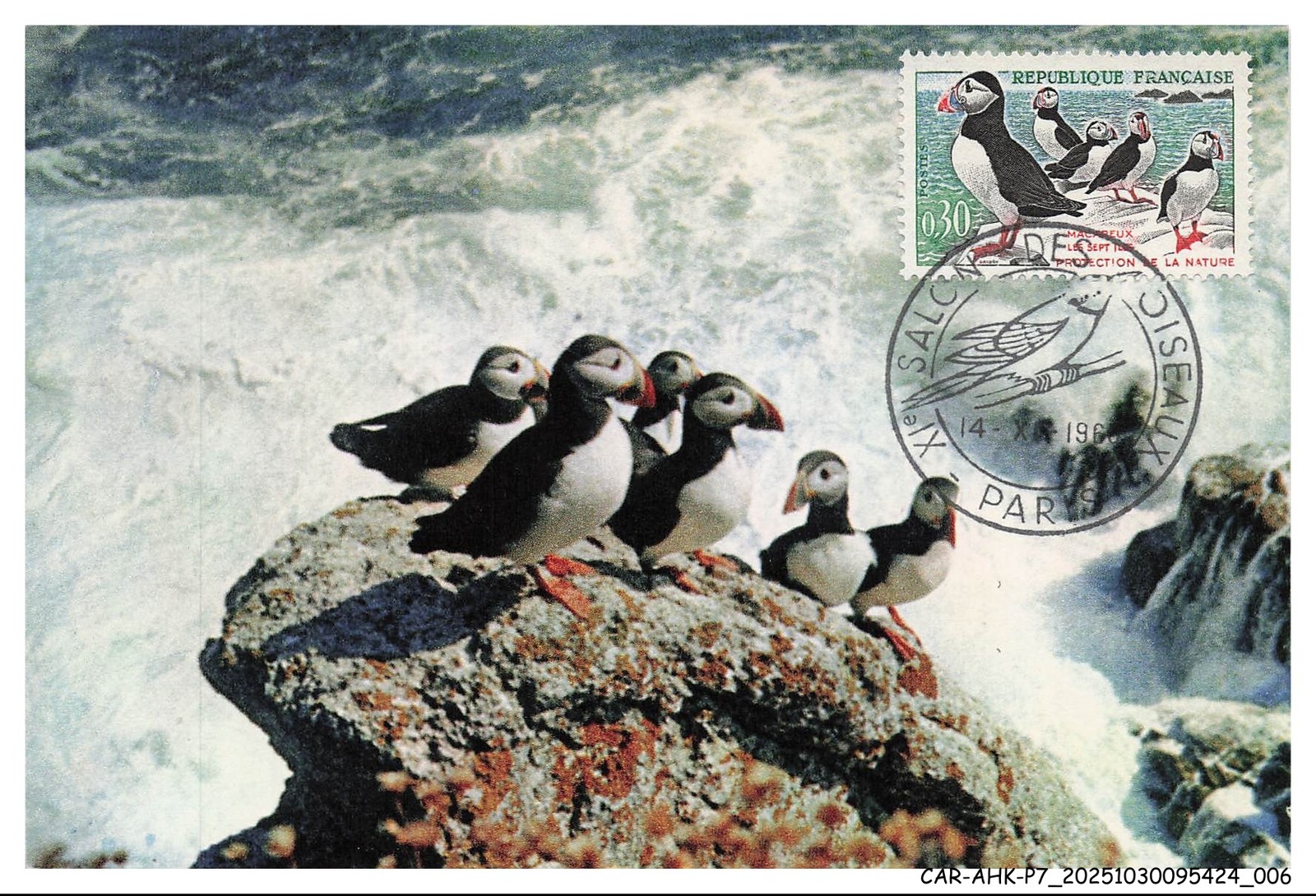 Car Ahkp7 0408 Maximum Cards - Paris - Puffins - These Quaint Seabirds Someti