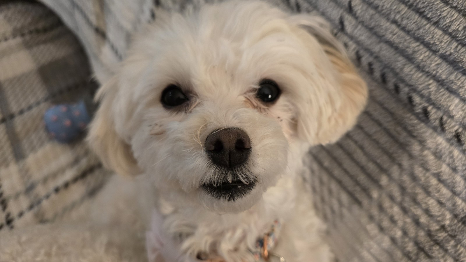 Domain Name Portfolio Lot .com Website Fitness Resumes