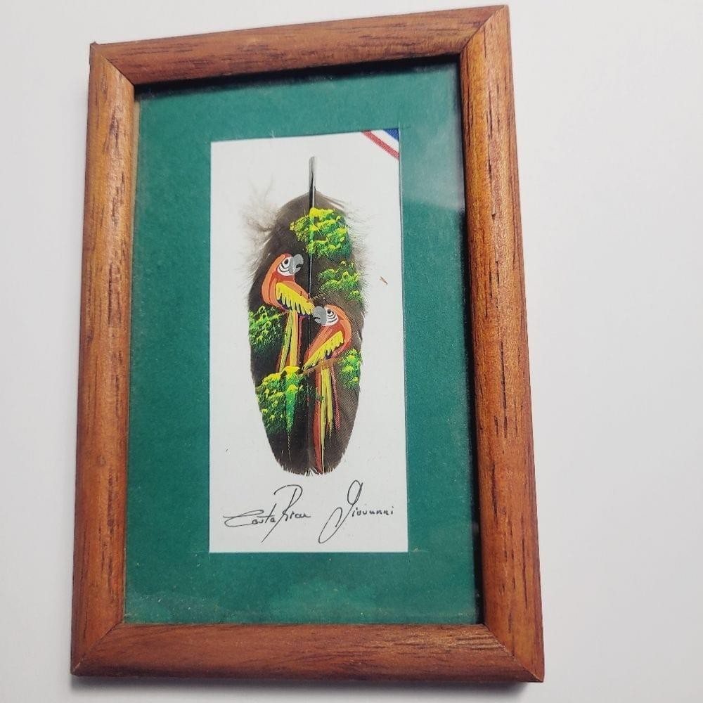 Painted Feather Framed Signed Artwork Coasta Rica