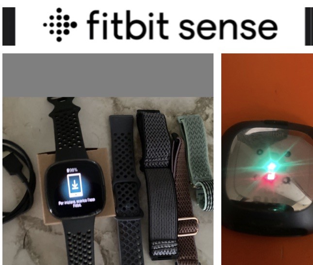 Fitbit Sense Gps Smartwatch Sleep Stress EKG Tested ✅ +oem Cord & Bands