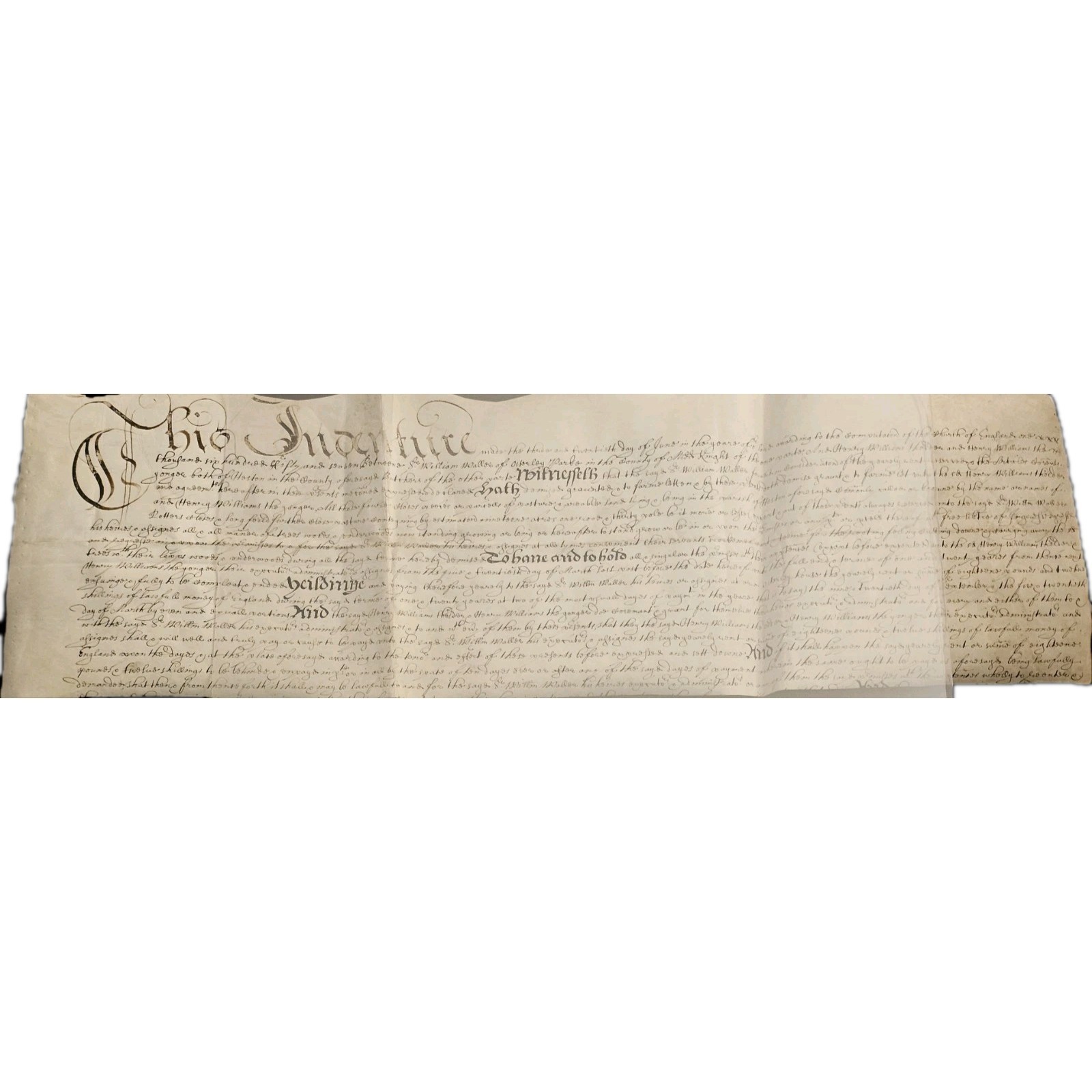 1649 English Civil War Vellum Deed – Sir William Waller Parliamentarian General