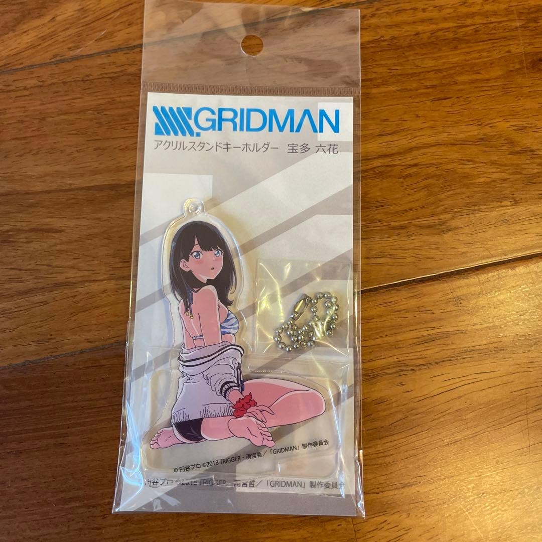 Gridman Rikka Takarada Aquarium Acrylic Stand Rare Anime Swimsuit Used