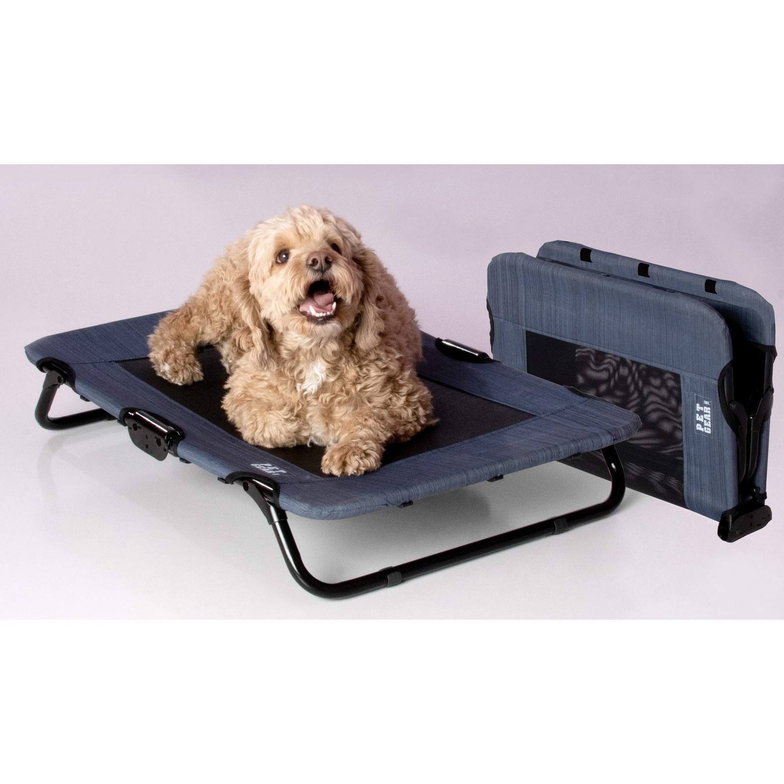 Pet Gear Lifestyle Pet Cot Elevated Bed, No Assembly, Tear Resistant