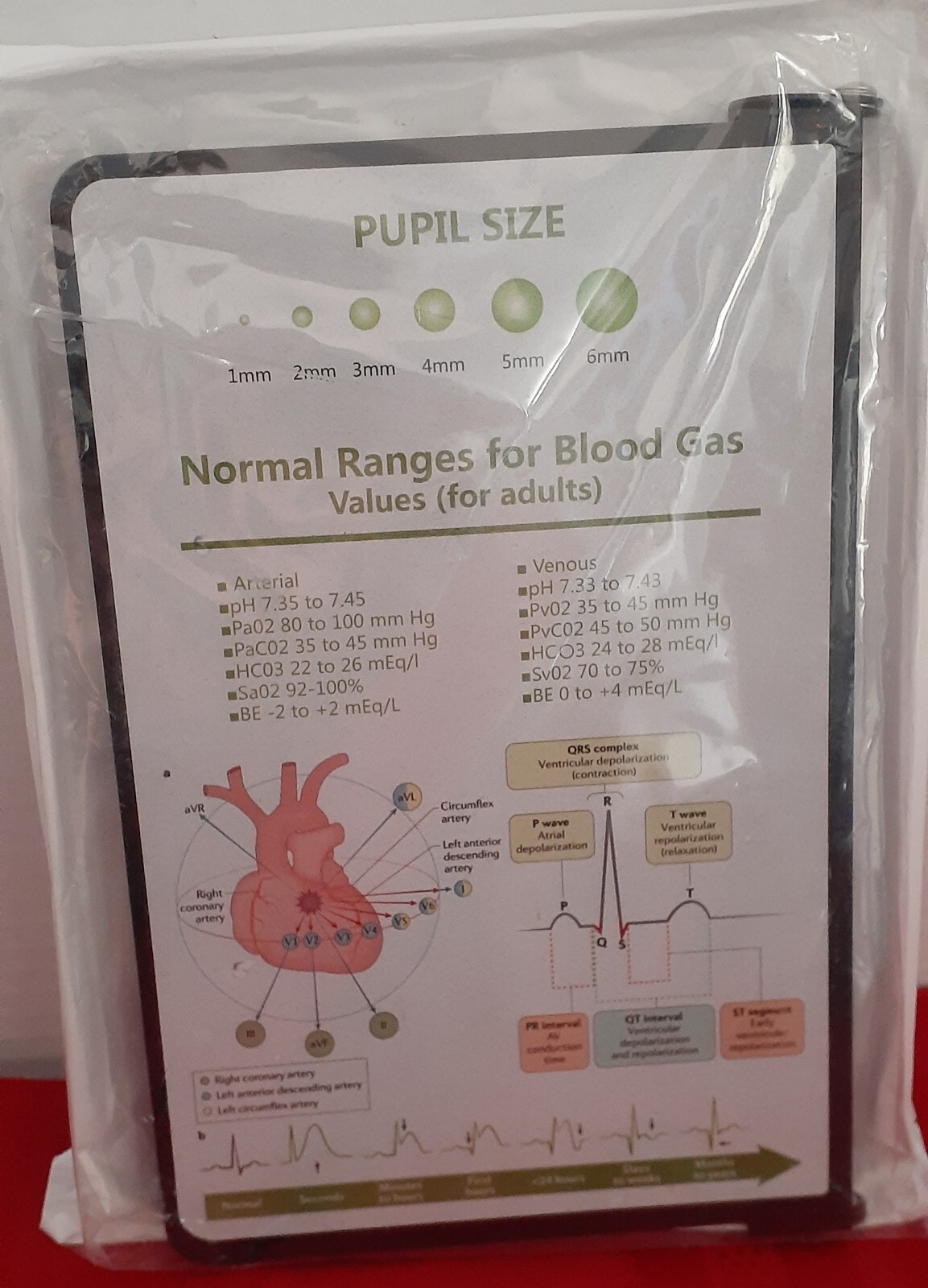 Nursing Edition Clipboard - Foldable - Reference - Brand New -