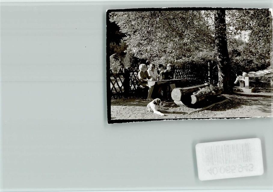 40065943 - 6765 Dannenfels Donnersberg