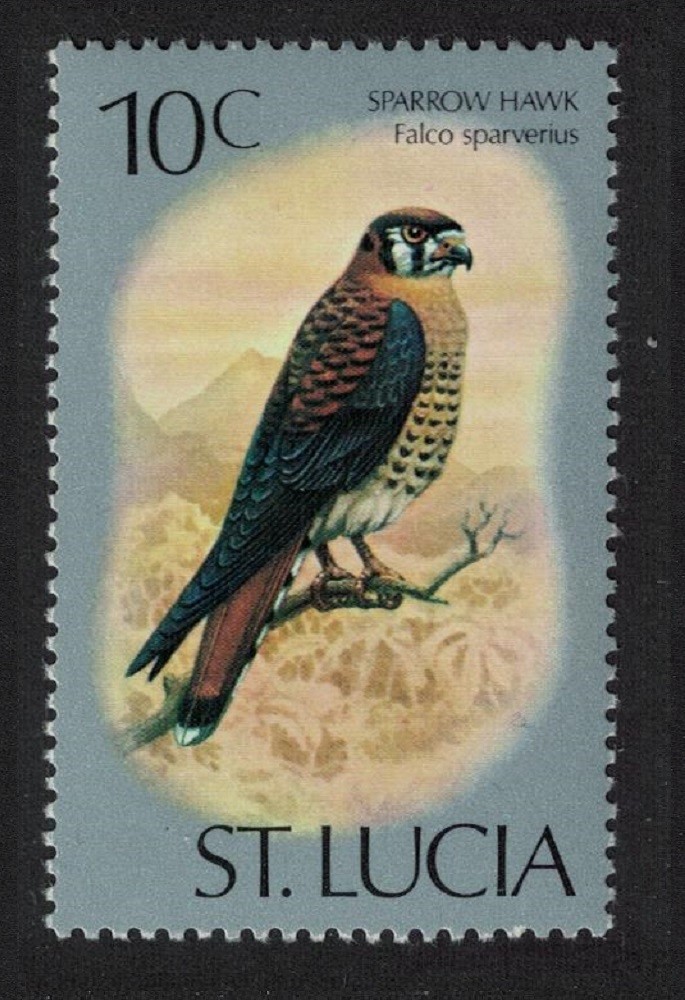 St. Lucia American kestrel Sparrow Hawk Bird 10c 1976 MNH SG#421