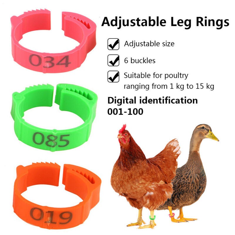 100PCS Chicken Leg Ring Numbered Poultry Duck Quail Foot Tags Clips Leg Ring
